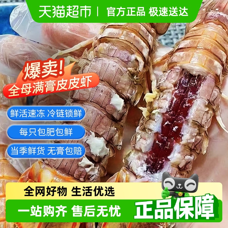 »ȫĸƤƤϺʻ䶳شϺӽμʳϺ49Ԫ