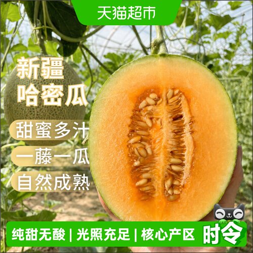疆果甜心新疆哈密瓜甜蜜多汁