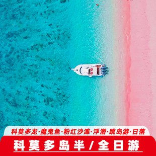 巴厘岛旅游科莫多岛半日/一日游酒店接送粉红沙滩出海蜥蜴巨蜥
