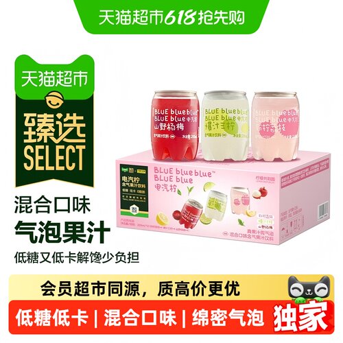 臻选气泡果汁饮料