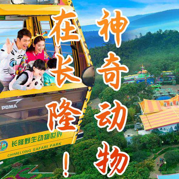 三毛游 ◆长隆野生动物园8小时大咖趣味解说私家团亲子研学纯玩