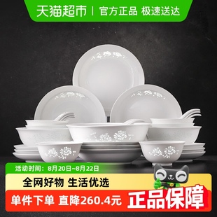 家用碗碟高颜值搬家乔迁搬家礼物 景德镇高温白瓷玲珑碗盘餐具套装