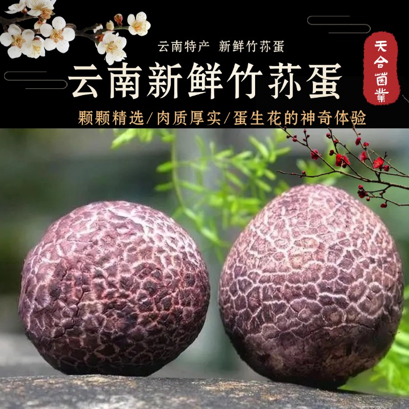 一级新鲜竹荪蛋食用菌菇航空配送云南高山食用菌红托竹荪蛋