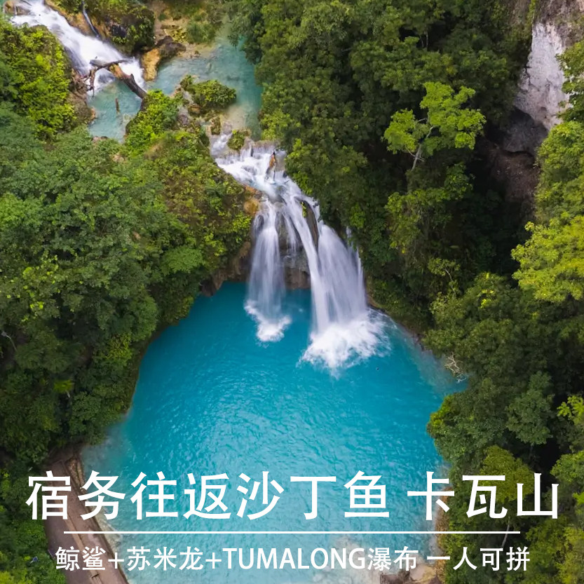 菲律宾宿务出发鲸鲨苏米龙 墨宝沙丁鱼卡瓦山  oslob kawasan