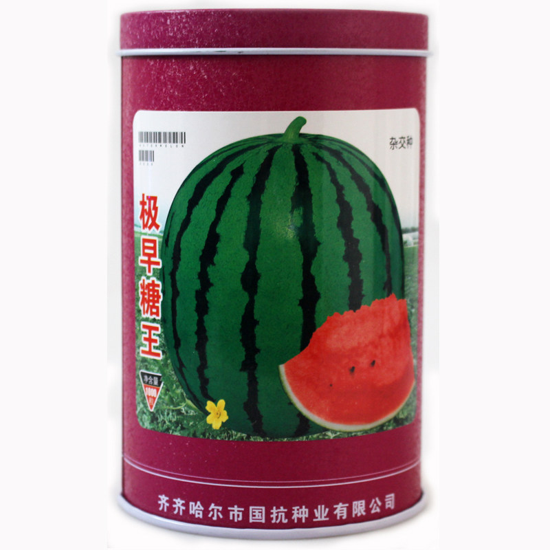 早熟高糖杂交西瓜种子