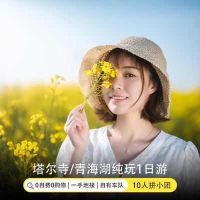 拉脊山/青海湖/日月山/倒淌河/金银滩/原子城/西宁一日游