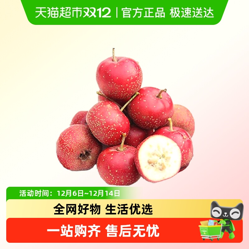 新鲜山楂果新鲜红果水果