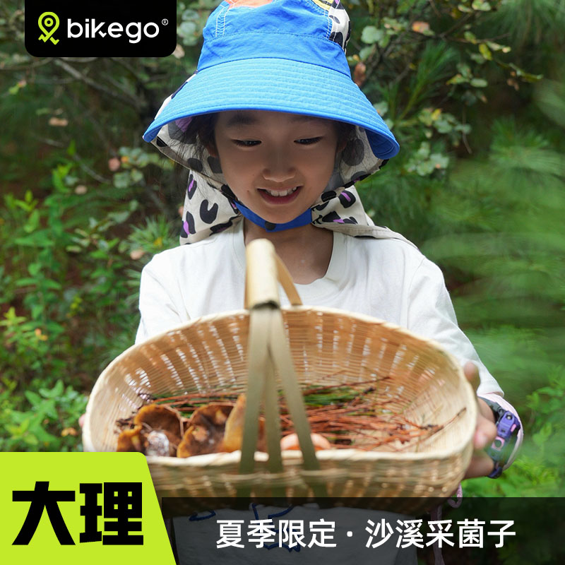 大理采菌子一日游6人小团