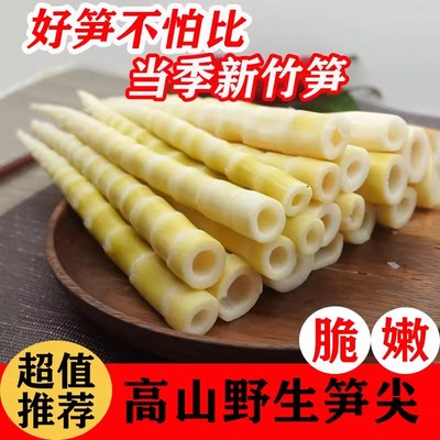 新鲜小竹笋雨后春笋当季蔬菜嫩笋尖鲜嫩去壳无老根火锅批发