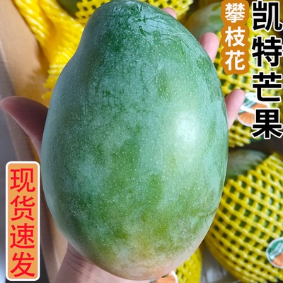产地直发正宗攀枝花凯特大爆甜芒果新鲜水果现摘青皮大芒果5