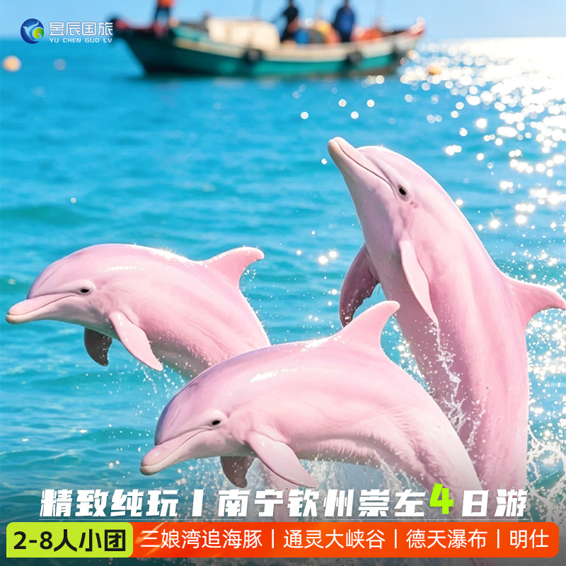 三娘湾追海豚2-8人小团纯玩广西南宁钦州崇左旅游4天3晚德天明仕