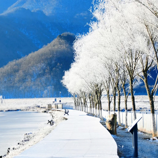冰雪九湖·私家包车游｜神农架滑雪+赏雪+大九湖4日游 含滑雪装备