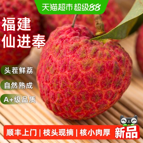 正宗仙进奉荔枝