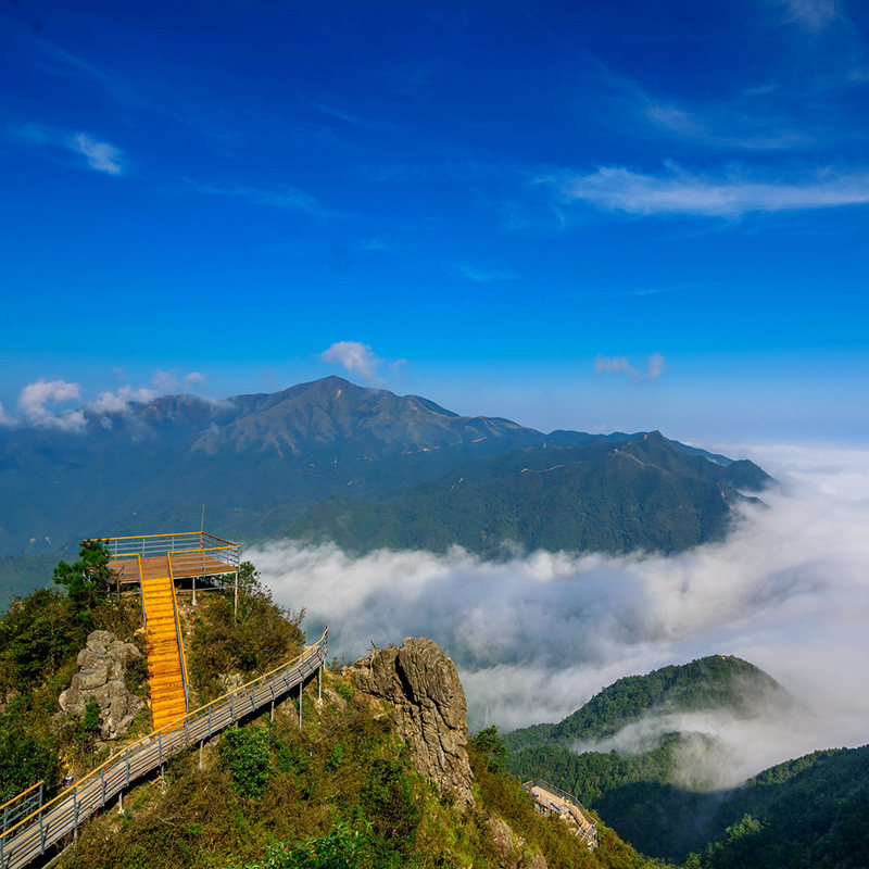 [金子山原生态旅游度假区-大门票 双程索道][金子山原生态风景区-大