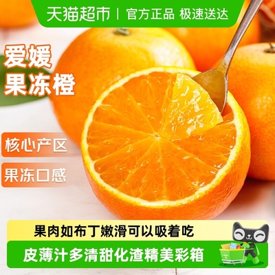 京运达四川爱媛38号果冻橙