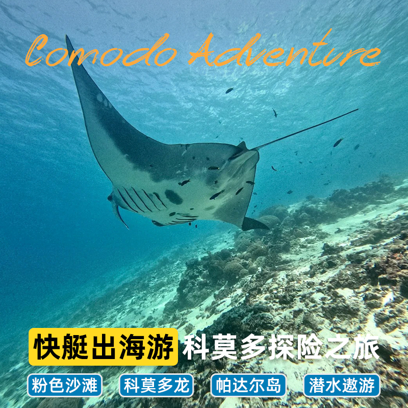 豪华双层快艇，包酒店接送，午餐，浮潜装备 小团优质服务，好评无数 精选卡拉瓦岛浮潜，粉红沙滩拖尾沙滩游泳打卡 粉色沙滩，科莫多龙，魔鬼鱼，帕达尔岛，一天玩遍科莫多