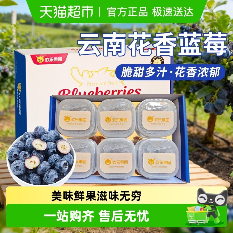 【欢乐果园】云南花香蓝莓脆甜果甄选大果新鲜孕妇水果礼盒装,水产肉类/新鲜蔬果/熟食,蓝莓,淘宝优惠券,粉丝福利购,淘宝优惠卷