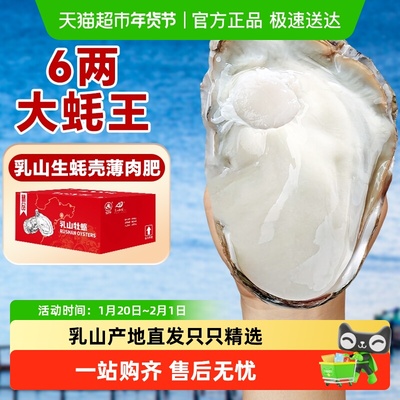 乳山生蚝礼盒装特大