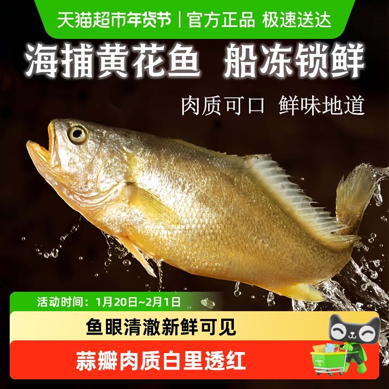 闽峡冷冻整鱼宁德新鲜海捕速冻大黄鱼4只每条4~5两黄花鱼鲜美肉质,水产肉类/新鲜蔬果/熟食,黄鱼,淘宝优惠券,粉丝福利购,淘宝优惠卷