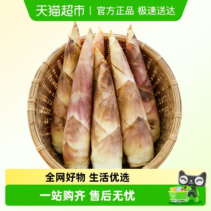 畲丰精品春笋雷笋新鲜带泥现挖带泥时令珍馐