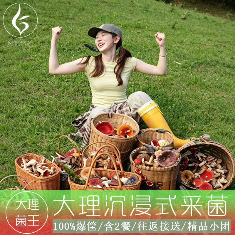 大理采菌子1天体验【理想的生活 含2餐 包采到 菌子油diy 大理采蘑菇捡菌子】