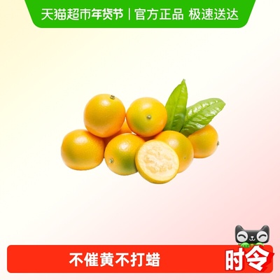 都乐脆蜜广西融安金桔脆蜜金桔