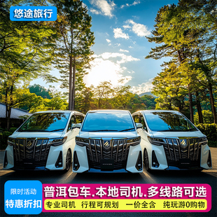 普洱旅游包车带司机小熊猫庄园太阳河森林公园普洱咖啡庄园景迈山