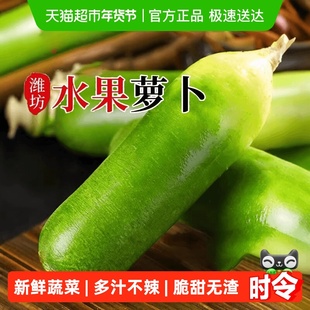 正宗山东潍坊水果萝卜新鲜沙窝萝卜生吃绿色脆青萝卜产地直发