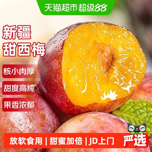 京运达新疆法兰西西梅当季新鲜