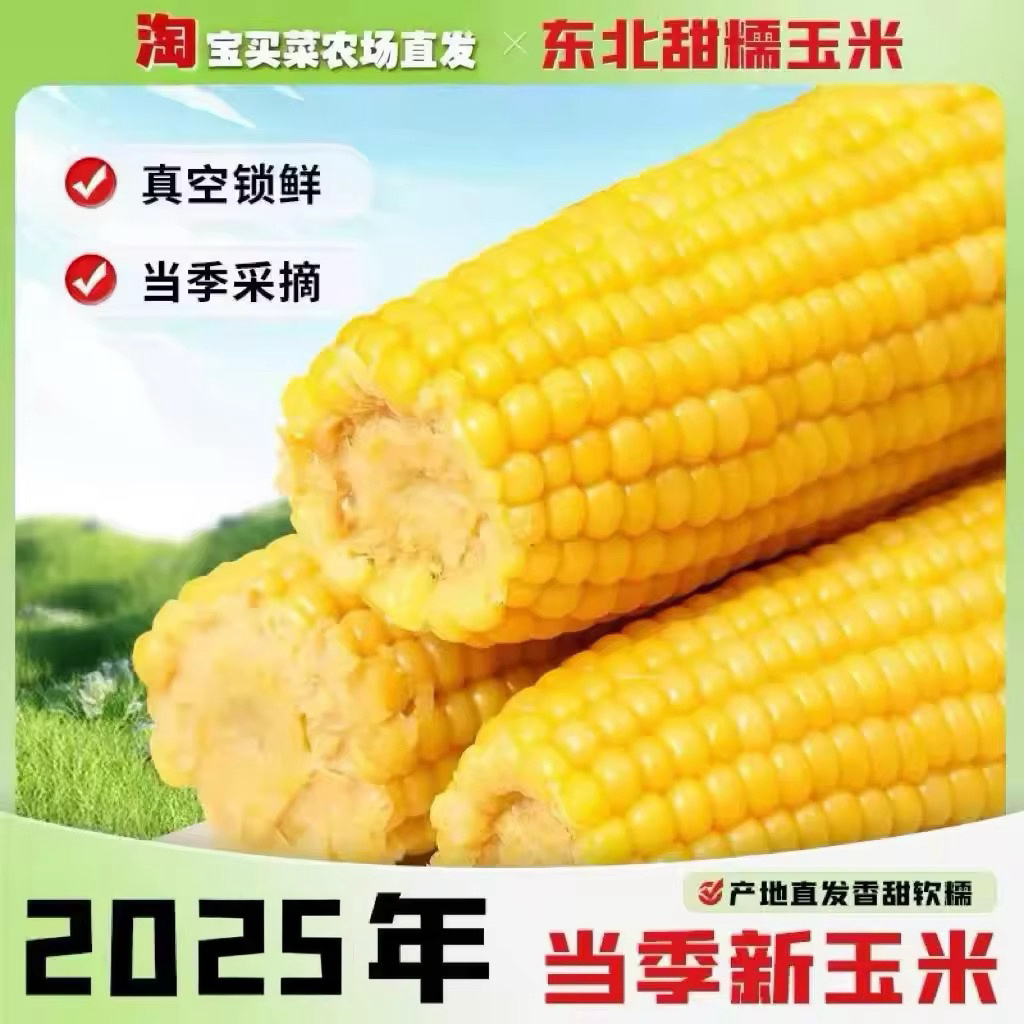 东北黄糯玉米甜糯真空包装一整箱新鲜代餐粘玉米健康美味农产品