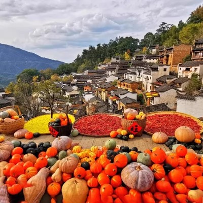 江西旅游6天5晚庐山景德镇博物馆婺源篁岭黄山宏村纯玩精品跟团游