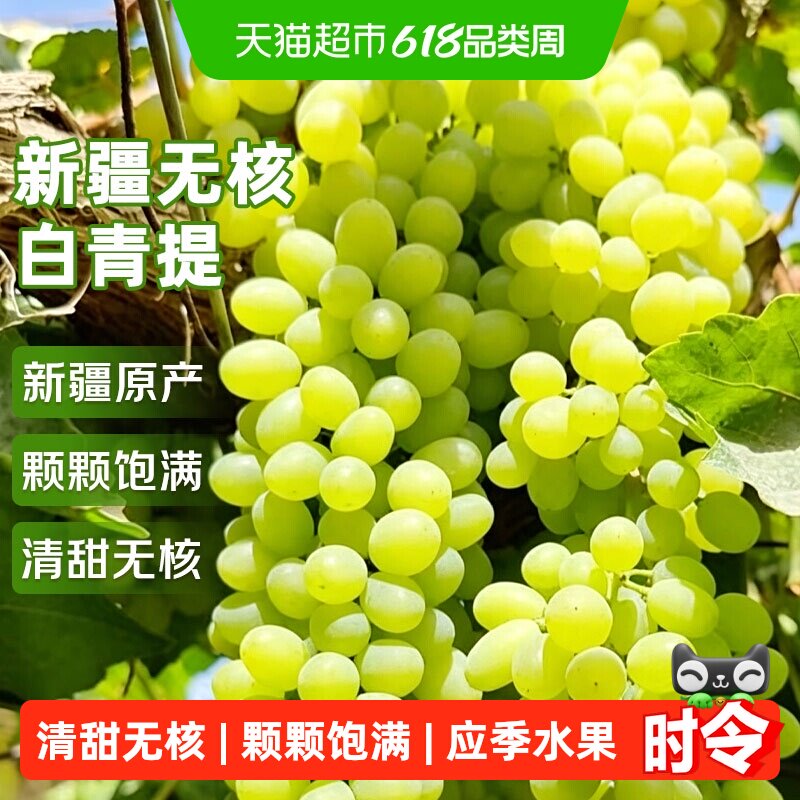 云南无核白小蜜蜂葡萄应当季新鲜水果无籽青提葡萄整箱