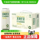 精酿啤酒500ml 燕大师茉莉花茶中式 12罐原浆茶啤酒醇厚整箱聚会