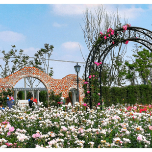 公共交通4次 挖宝奇兵 亲子 祥源花世界 家庭 手作体验 大门票 丛林滑车 漫乐谷