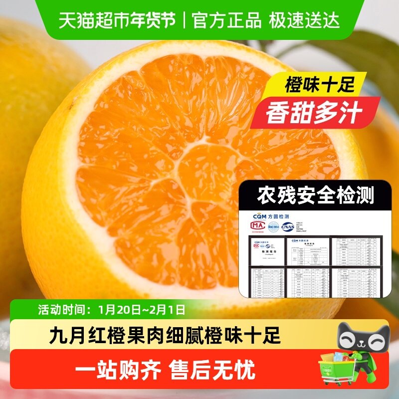 九月红秭归橙脐橙果冻橙整箱当季新鲜甜橙子柑橘新鲜水果禾富好,水产肉类/新鲜蔬果/熟食,橙,淘宝优惠券,粉丝福利购,淘宝优惠卷