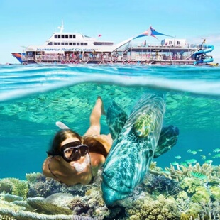 澳大利亚凯恩斯大堡礁太阳恋人号摩尔礁直升机深潜浮潜体验含午餐
