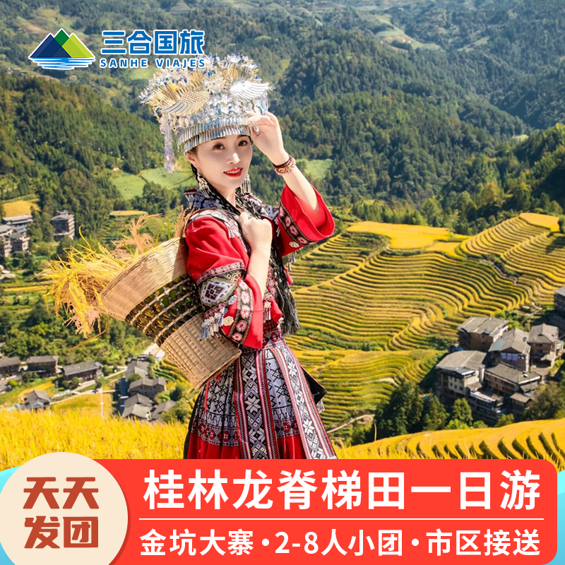 8人商务小团 桂林阳朔旅游龙脊梯田金坑大寨一日游纯玩上门接送 - 实物图