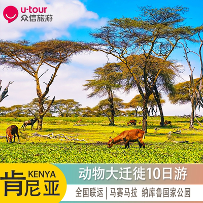 非洲旅游全国出发肯尼亚坦桑尼亚动物大迁徙纯玩9日品质跟团游