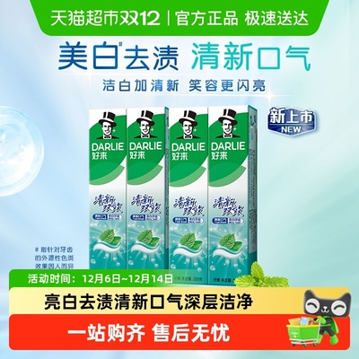 DARLIE好来清新双效牙膏清新口气