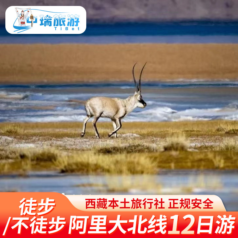 西藏阿里大北线12天旅游拼车塔尔钦徒步珠峰大本营古格王朝纳木错