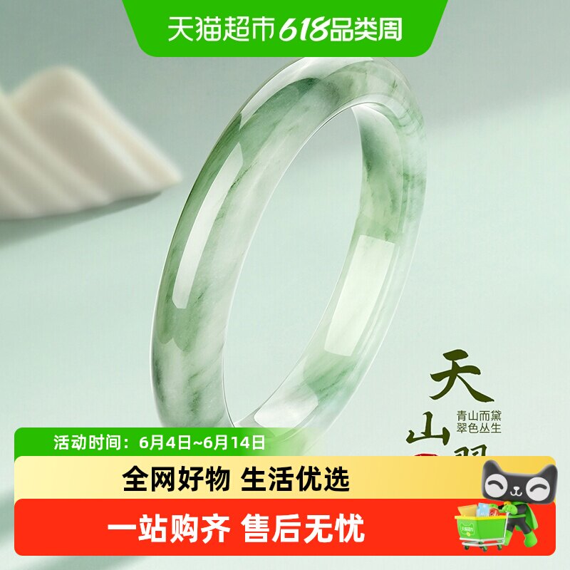 梦金园天山翠冰透飘绿玉镯东方玉种镶嵌温婉典雅收藏传承节日送礼