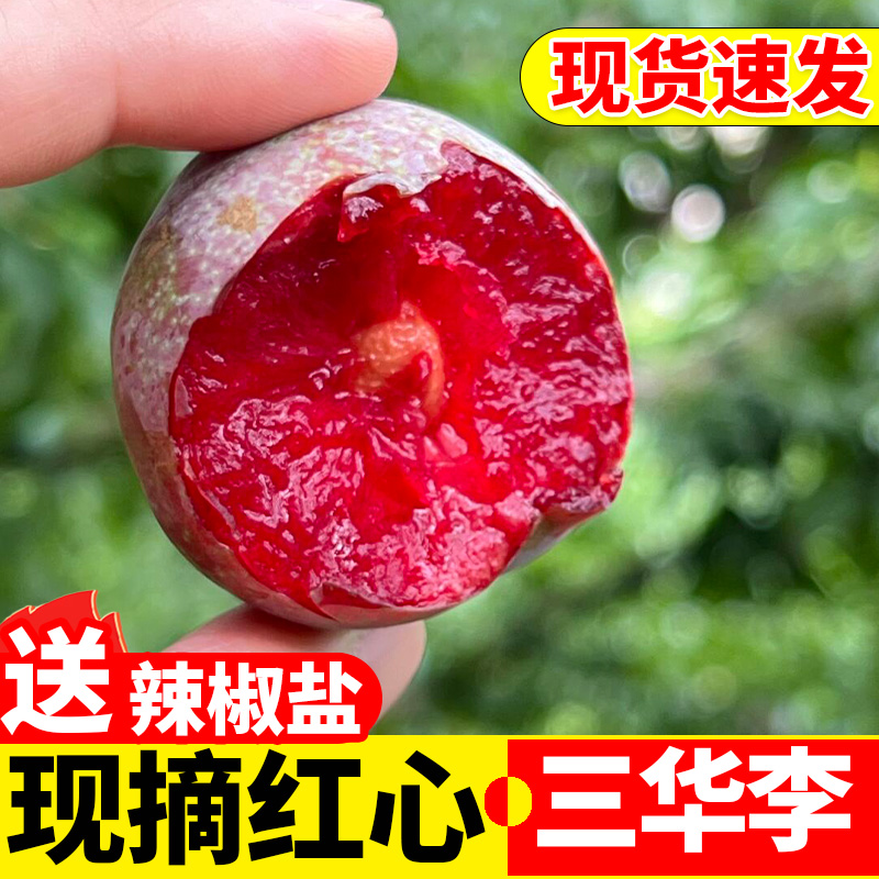 三华李大果当季水果新鲜现摘酸甜脆红心李子