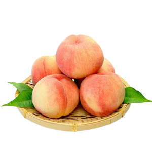 正宗阳山水蜜桃9粒装单果200g+