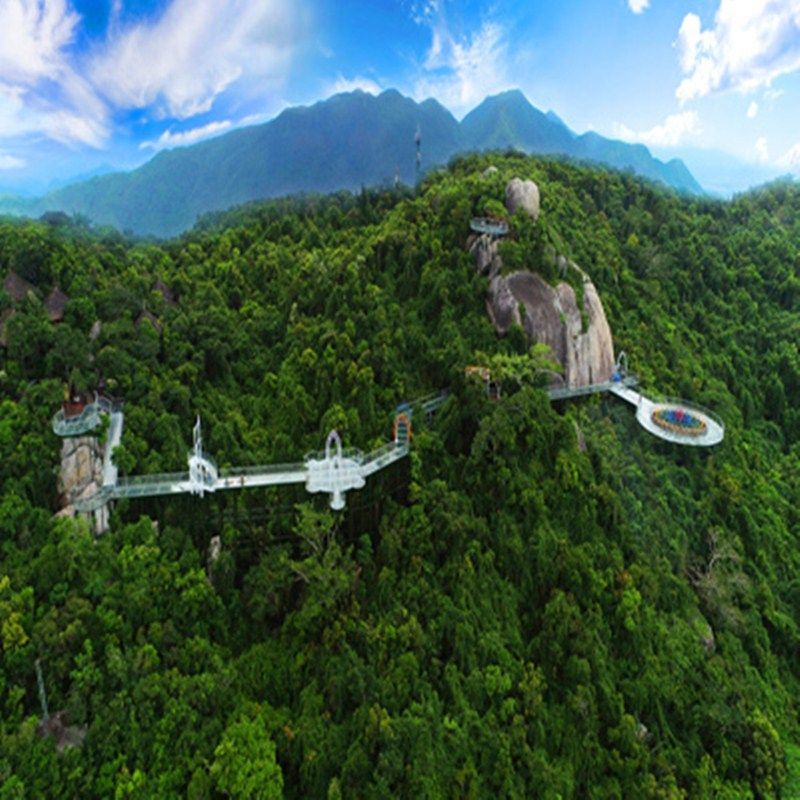 [亚龙湾热带天堂森林公园-门票+车票+索桥+影院+雨林自助午餐]亚龙湾热带雨林森林公园门票套票