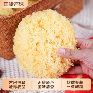 净重无硫古田大朵银耳干货福建特优雪耳羹商用煲汤软糯食材国货