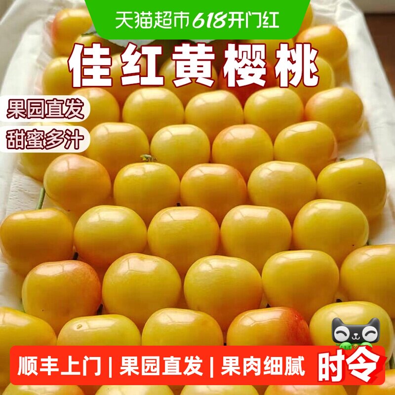 末浅佳红黄樱桃大连直发