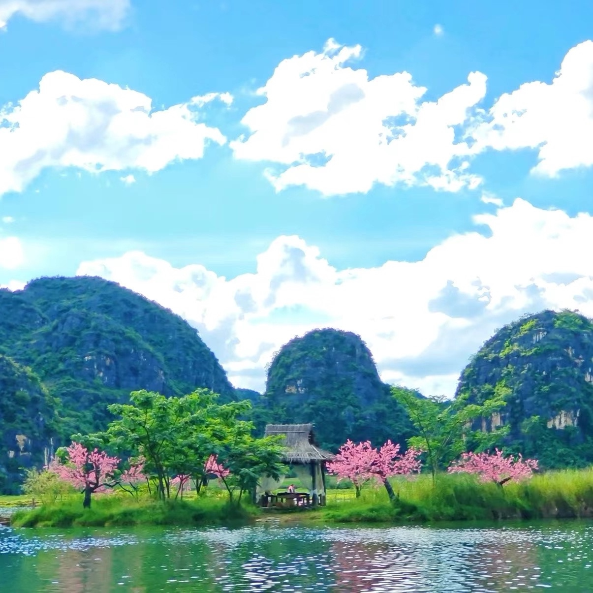 云南旅游 文山普者黑+青龙山+三生三世+仙人洞村+西荒湿地一日游
