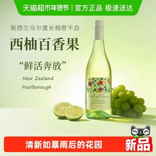 新西兰原瓶进口马尔堡长相思干白葡萄酒微醺女士年货送礼配香槟杯