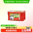 ECOEY家庭园艺种子超级转运箱向日葵DIY创意种植小盆栽园艺小花农