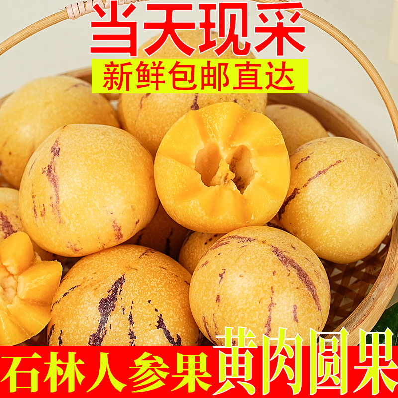 正宗2025年新鲜采摘云南人参果黄心袁果整箱包邮发货应季水果